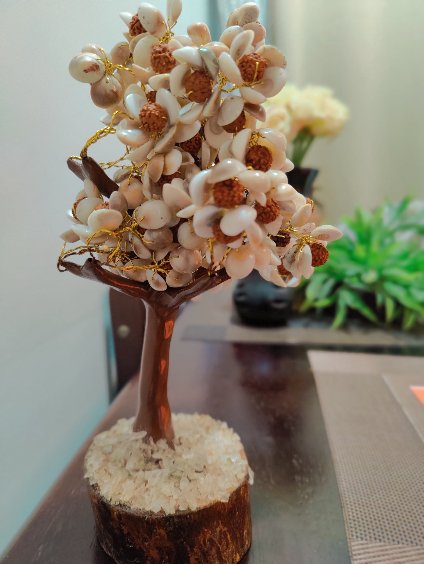 Gomtichakra Rudraksha Tree