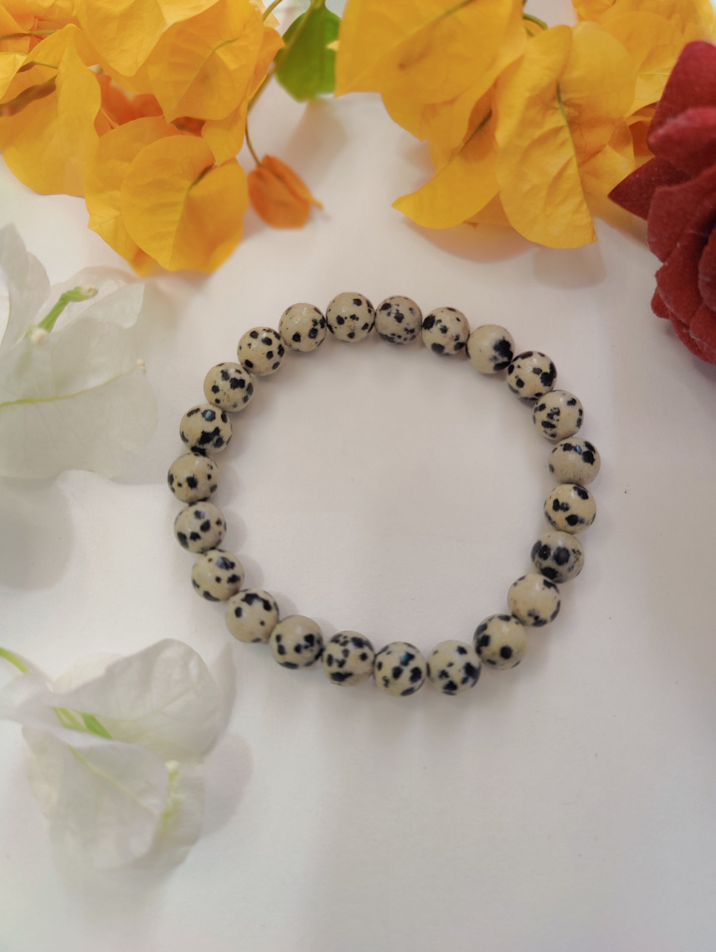Dalmatian jasper bracelet