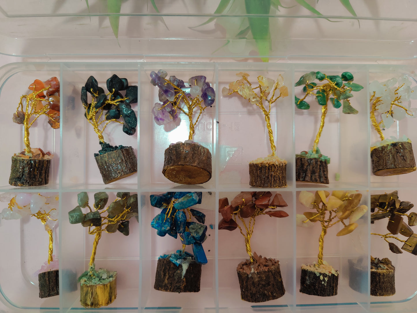 Crystal Tree Box 12 Pcs