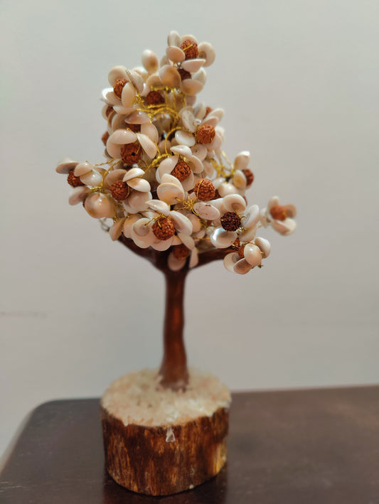 Gomtichakra Rudraksha Tree