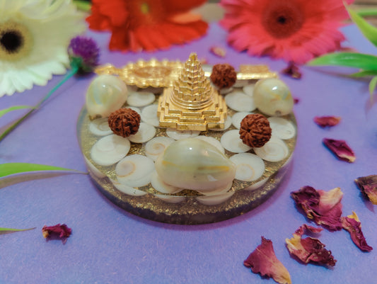 Gomti Chakra Lakshmi Coaster