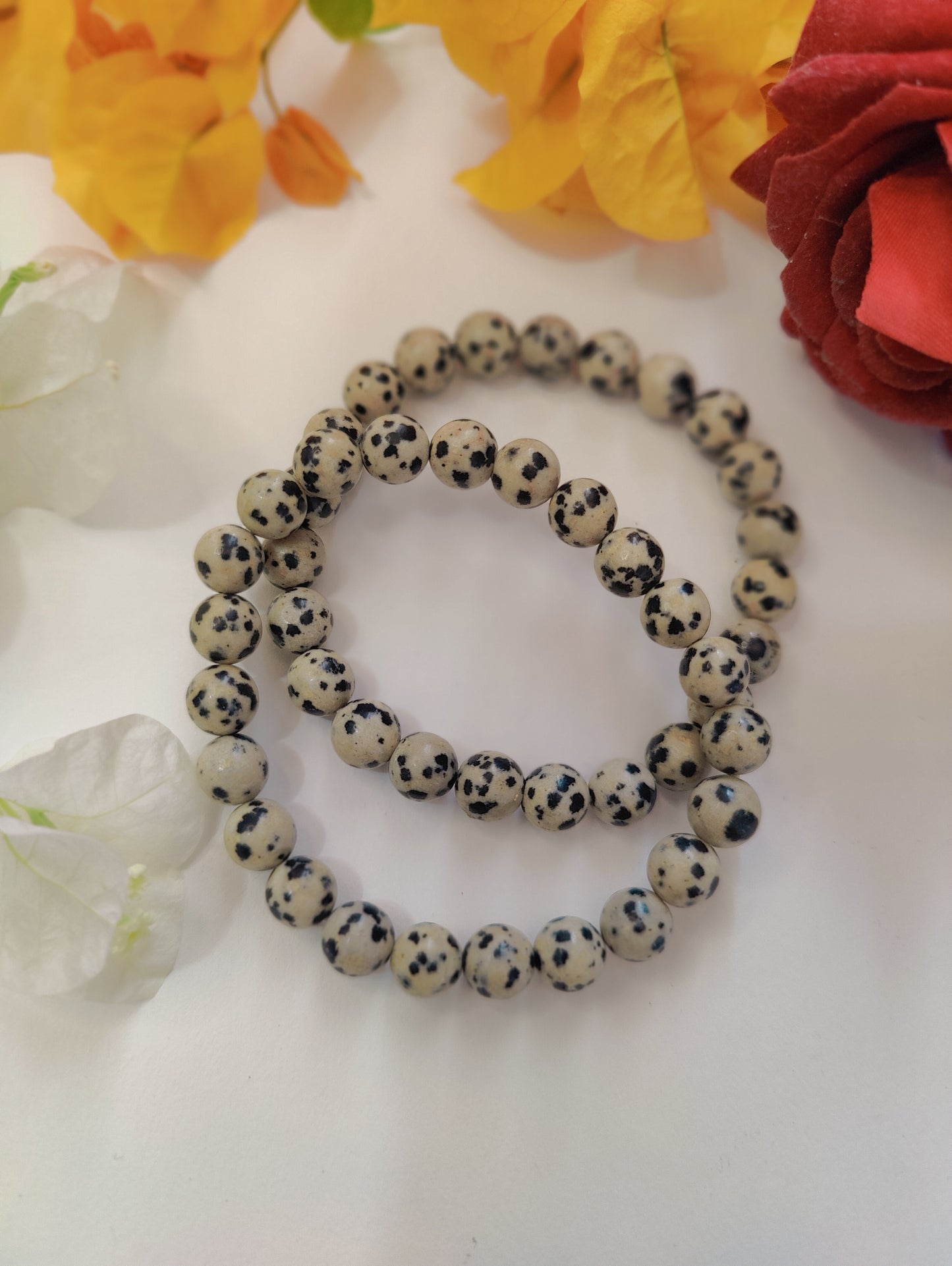 Dalmatian jasper bracelet
