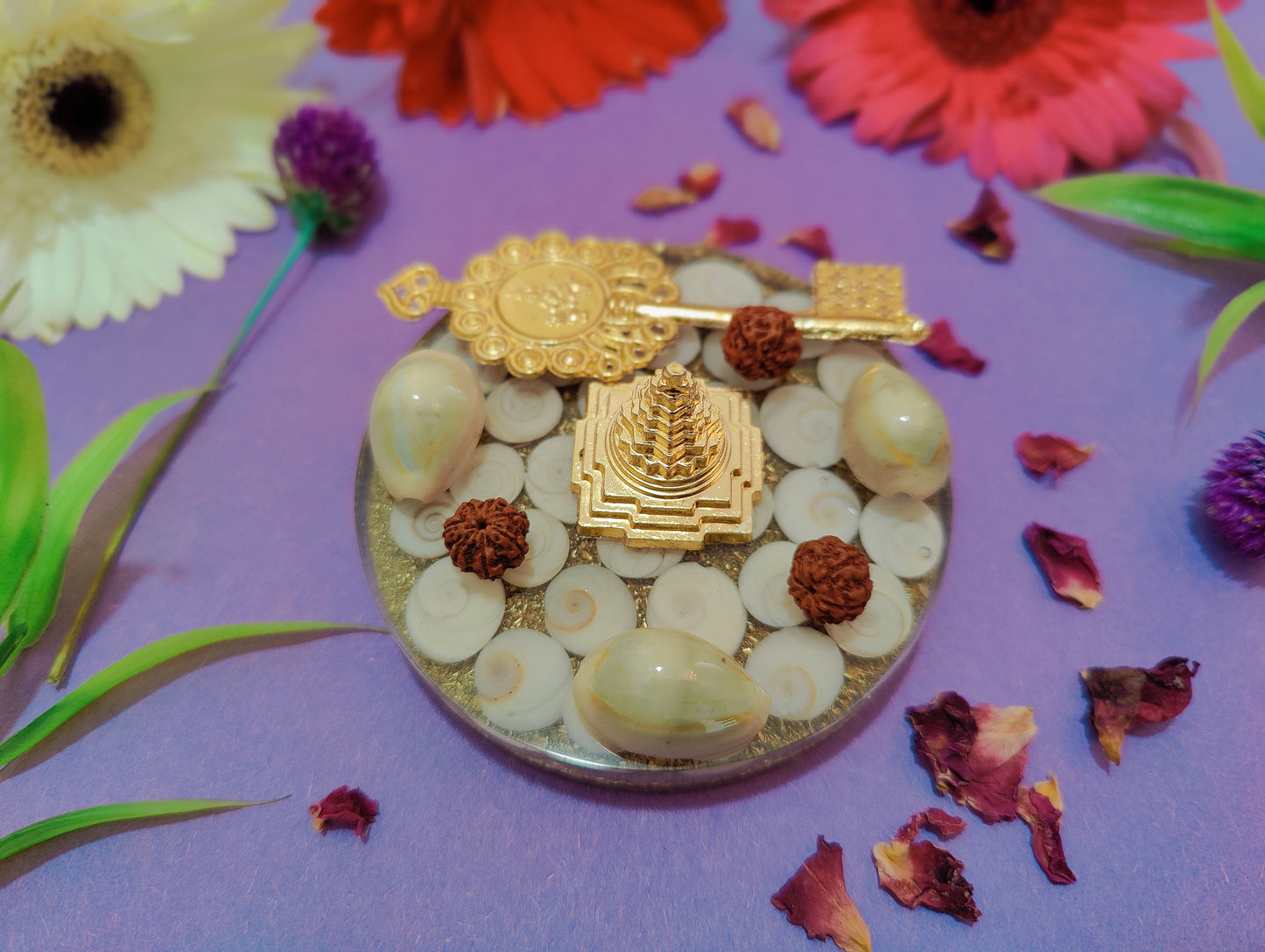 Gomti Chakra Lakshmi Coaster