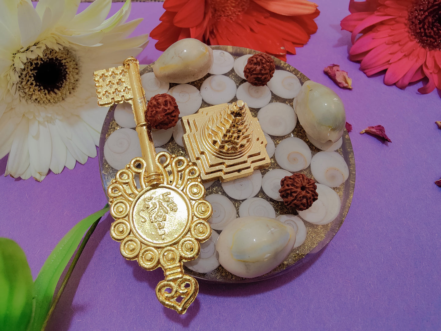 Gomti Chakra Lakshmi Coaster